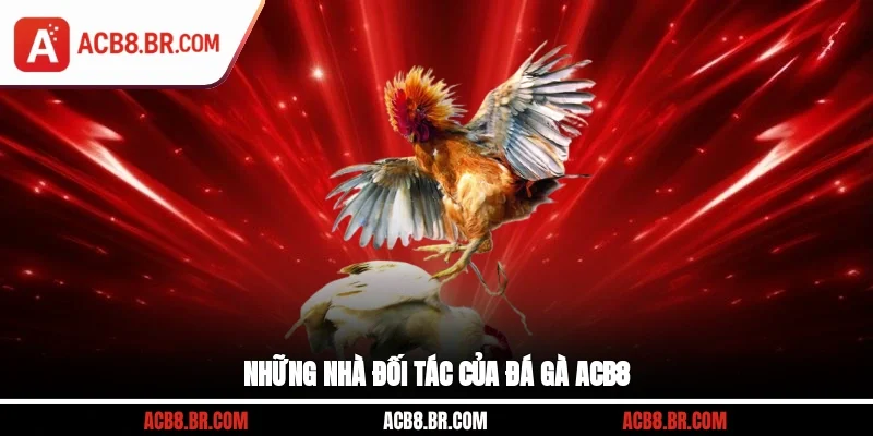 Những nhà đối tác của đá gà ACB8
