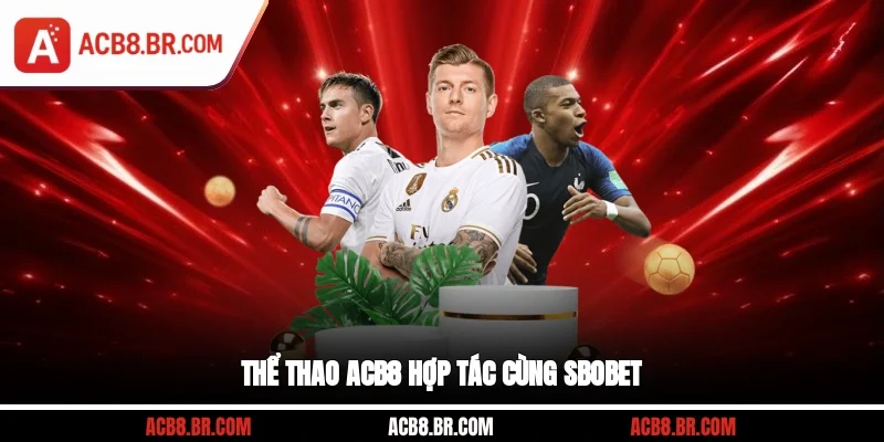 Thể thao ACB8 hợp tác cùng SBOBET